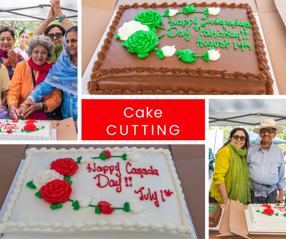 Cake Cutting